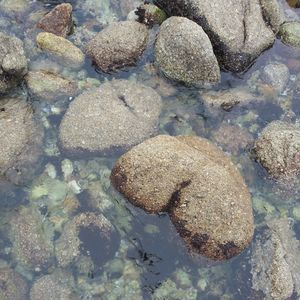 Meet your Posher, Jonell